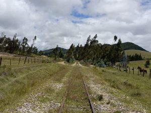 WhatsApp Image 2022-08-01 at 4.09.55 PM (1)