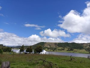 WhatsApp Image 2022-08-01 at 4.09.56 PM (1)