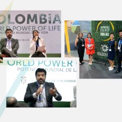 El IPSE presente en la COP27