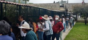 WhatsApp Image 2022-12-12 at 12.15.21 PM (4)