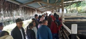 WhatsApp Image 2022-12-12 at 12.15.21 PM (7)