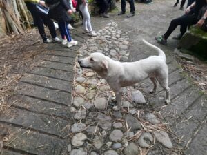 WhatsApp Image 2023-05-30 at 8.05.37 AM