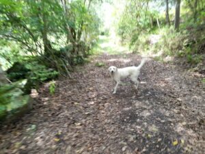 WhatsApp Image 2023-05-30 at 8.05.48 AM (1)