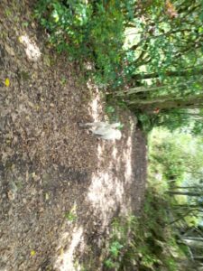 WhatsApp Image 2023-05-30 at 8.05.49 AM (1)