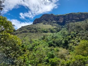 WhatsApp Image 2023-05-30 at 8.06.01 AM (1)