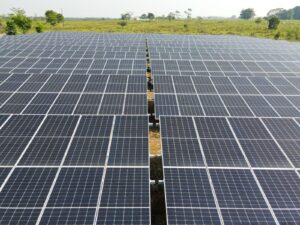 WhatsApp Image 2024-02-22 at 9.47.59 AM