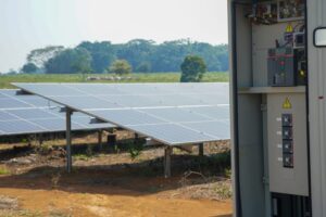 WhatsApp Image 2024-02-22 at 9.48.00 AM (1)