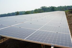 WhatsApp Image 2024-02-22 at 9.48.00 AM (2)