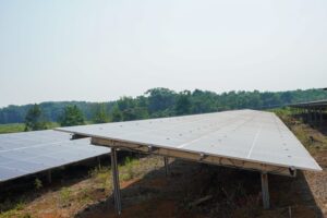 WhatsApp Image 2024-02-22 at 9.48.01 AM (1)