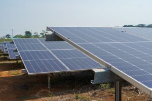 WhatsApp Image 2024-02-22 at 9.48.01 AM