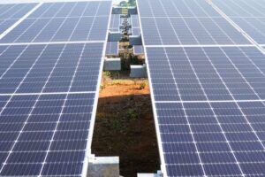 WhatsApp Image 2024-02-22 at 9.48.02 AM (1)