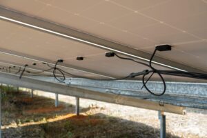 WhatsApp Image 2024-02-22 at 9.48.02 AM