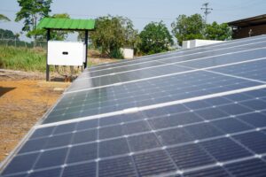 WhatsApp Image 2024-02-22 at 9.48.03 AM (1)