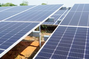 WhatsApp Image 2024-02-22 at 9.48.03 AM