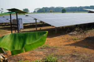 WhatsApp Image 2024-02-22 at 9.48.04 AM