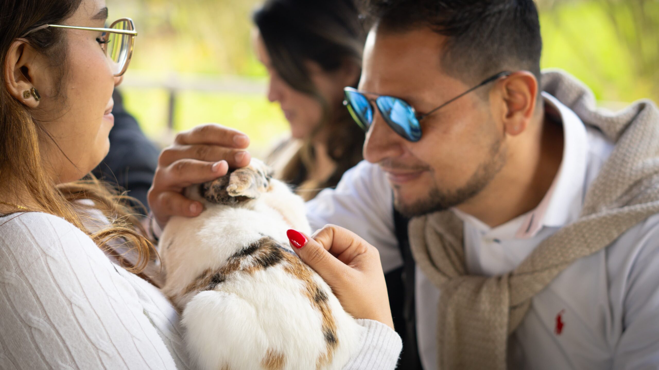 WhatsApp Image 2024-12-09 at 2.26.28 PM (1)