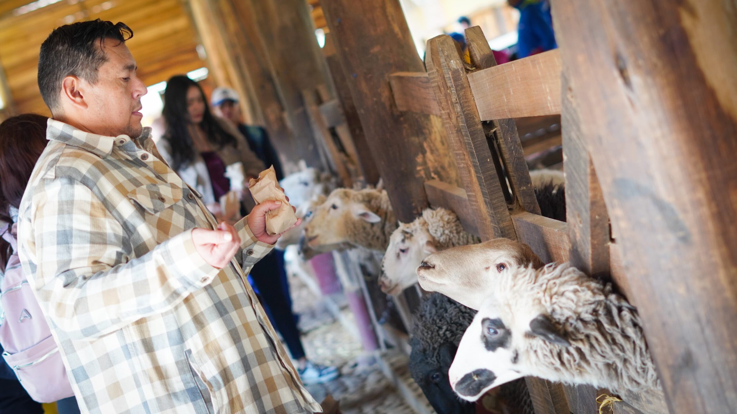 WhatsApp Image 2024-12-09 at 2.26.41 PM (1)