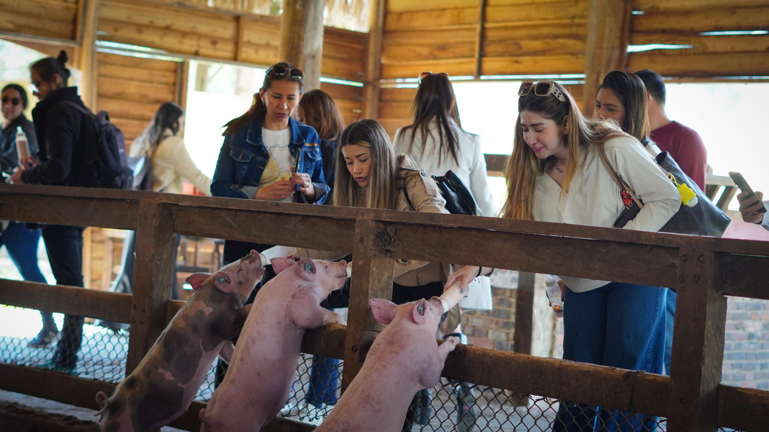 WhatsApp Image 2024-12-09 at 2.26.42 PM