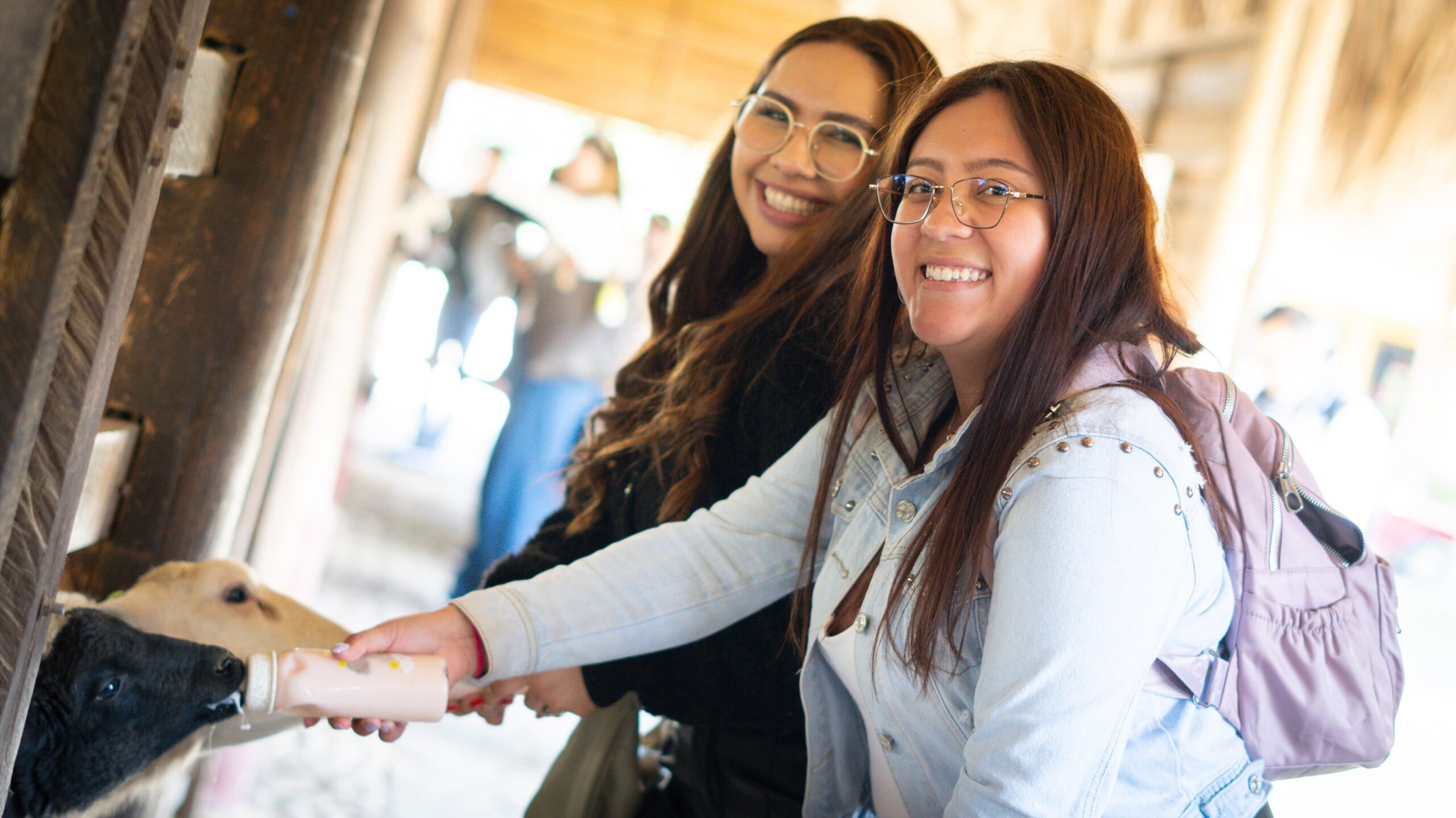 WhatsApp Image 2024-12-09 at 2.26.43 PM (1)