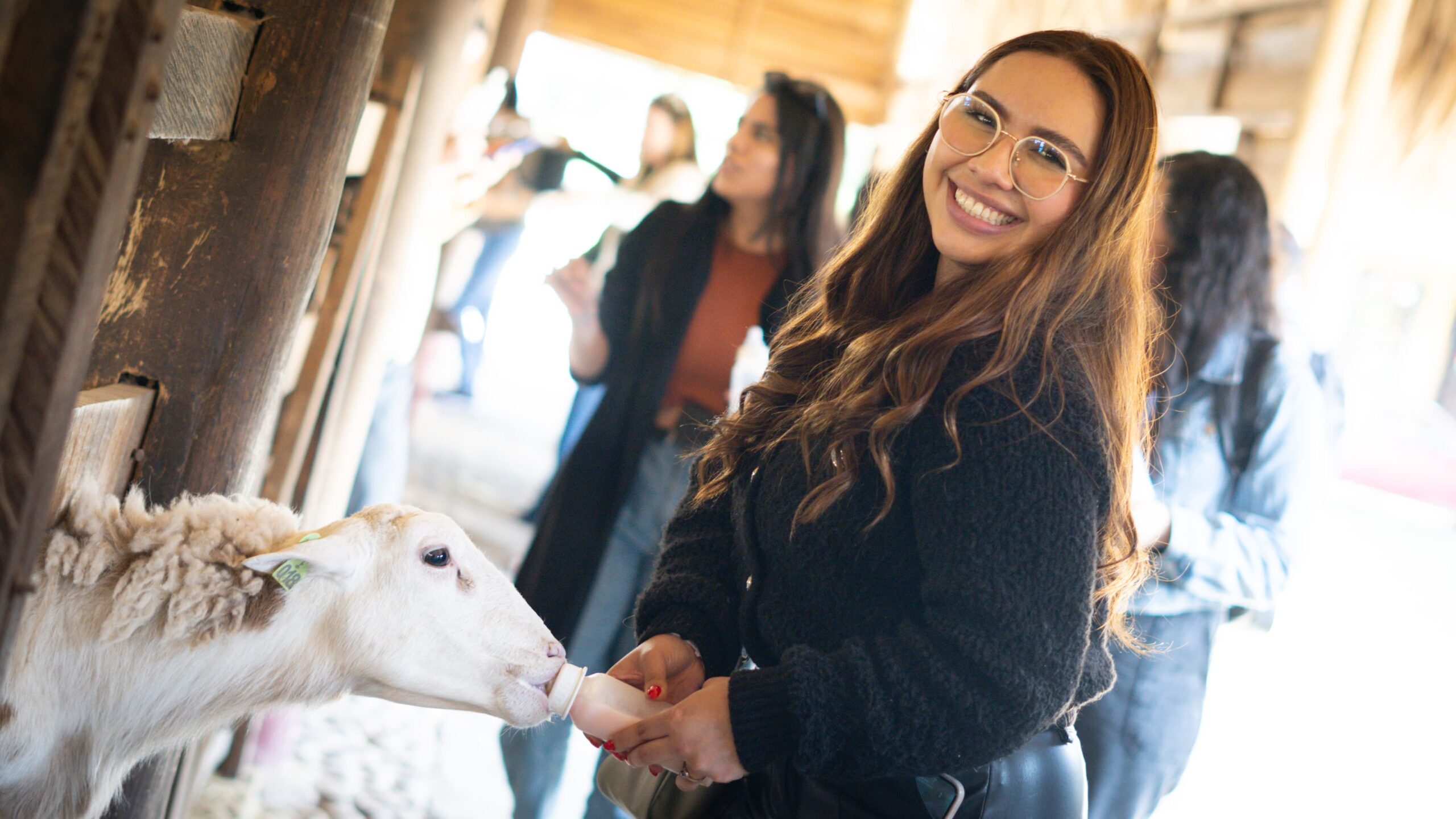 WhatsApp Image 2024-12-09 at 2.26.44 PM