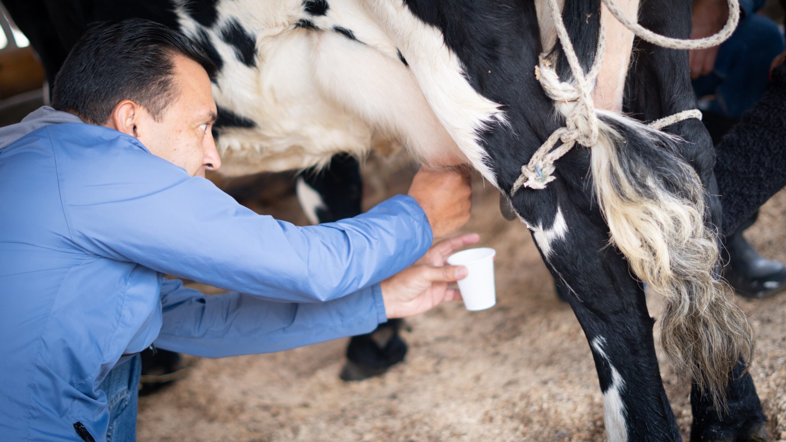 WhatsApp Image 2024-12-09 at 2.26.45 PM (1)