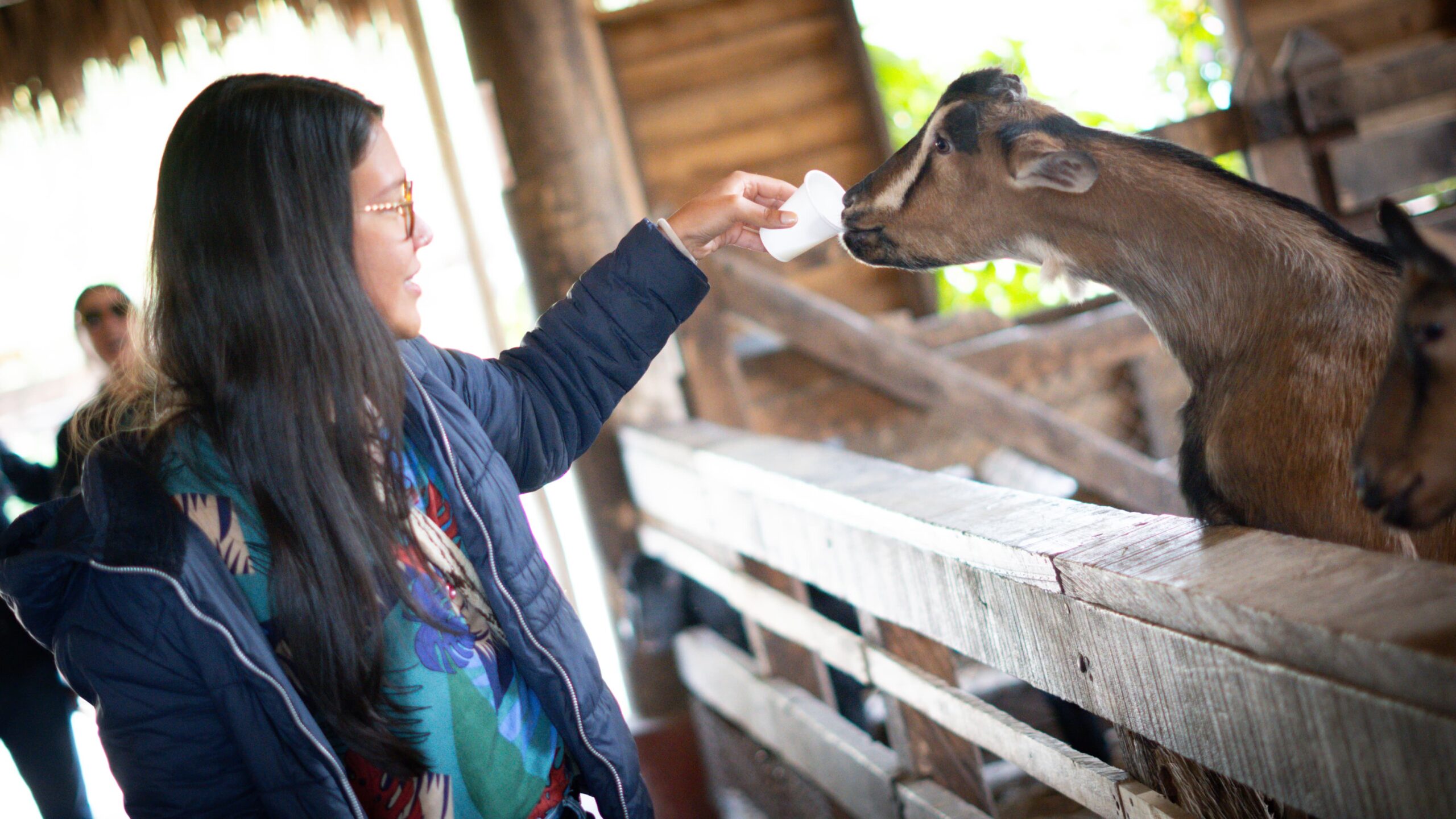 WhatsApp Image 2024-12-09 at 2.26.46 PM (1)