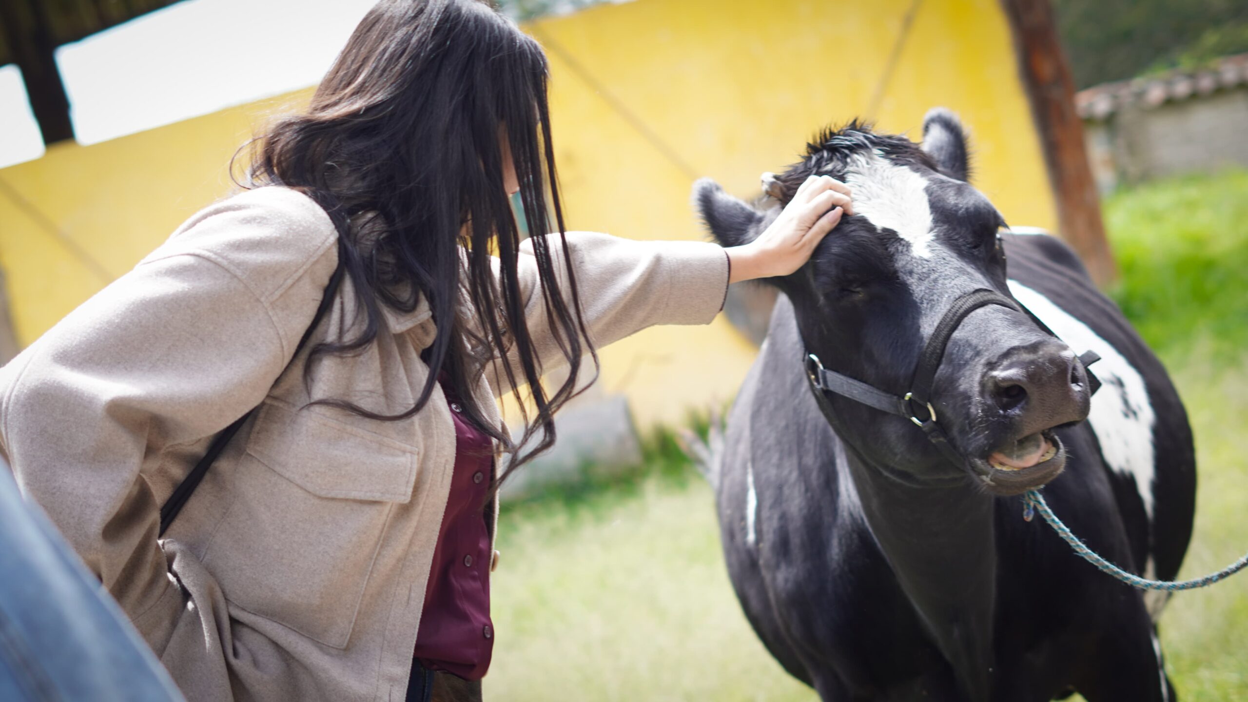 WhatsApp Image 2024-12-09 at 2.26.47 PM (1)