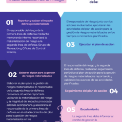 Plan de Manejo para Cuando se Evidencie la Materialización de un Riesgo​