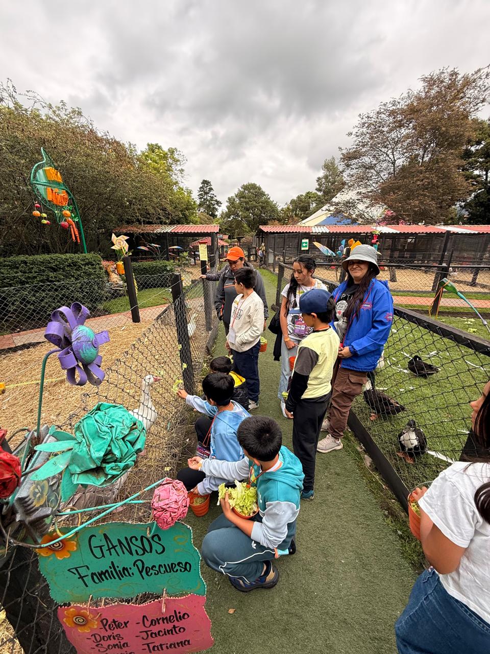 WhatsApp Image 2025-10-15 at 4.01.48 PM (4)